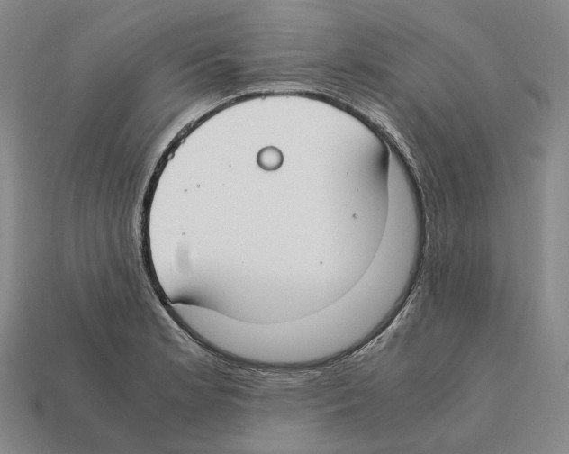 X0000112411181200909251449