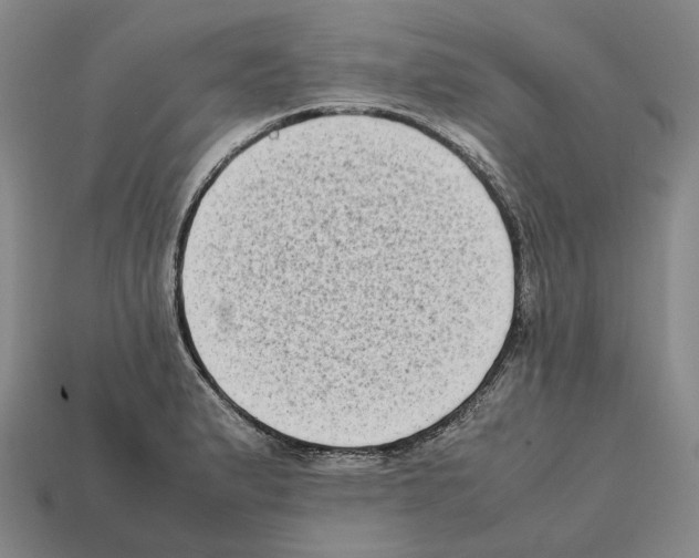 X0000112411183200909251449