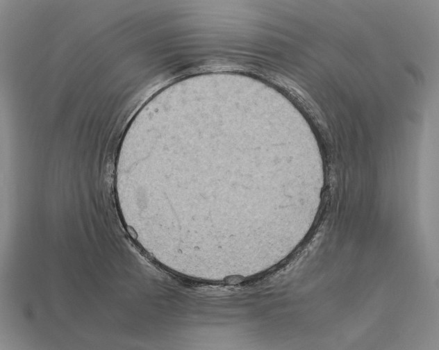 X0000112411185200909251449