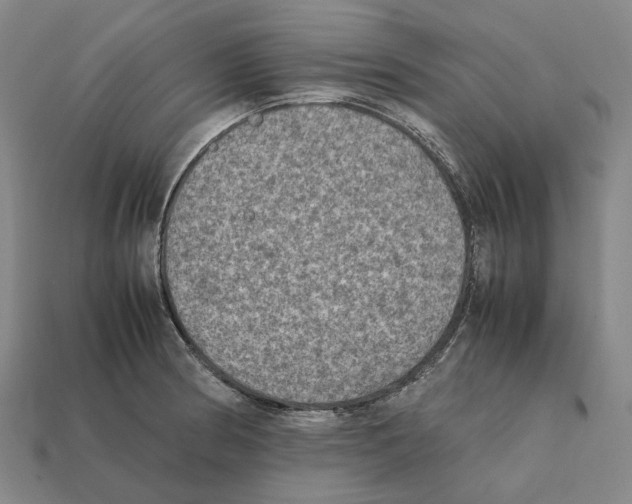 X0000112411186200909251449