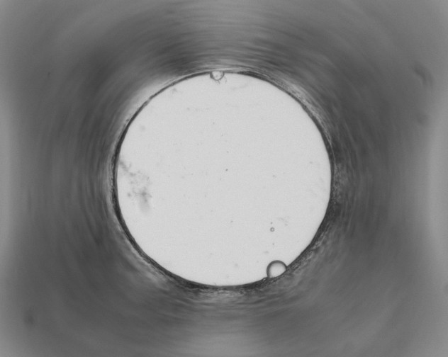 X0000112411187200909251449