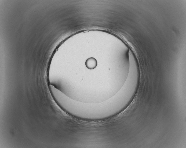 X0000112411189200909251449