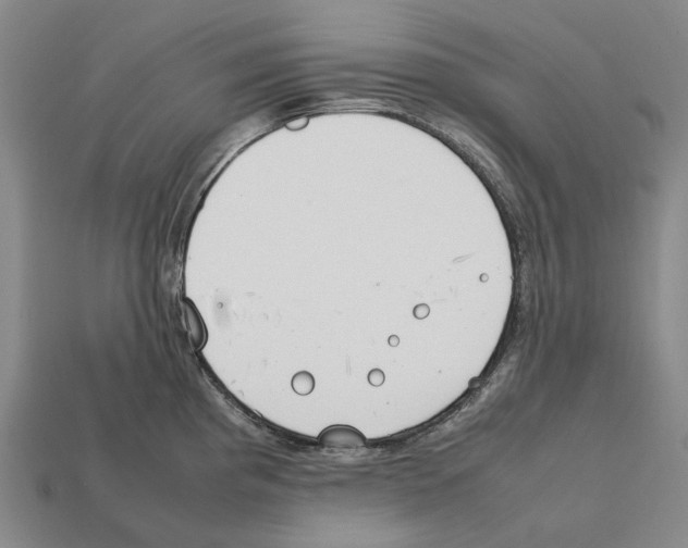 X0000112411193200909251449