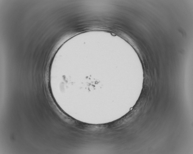 X0000112411195200909251449