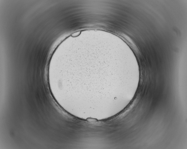X0000112411196200909251449