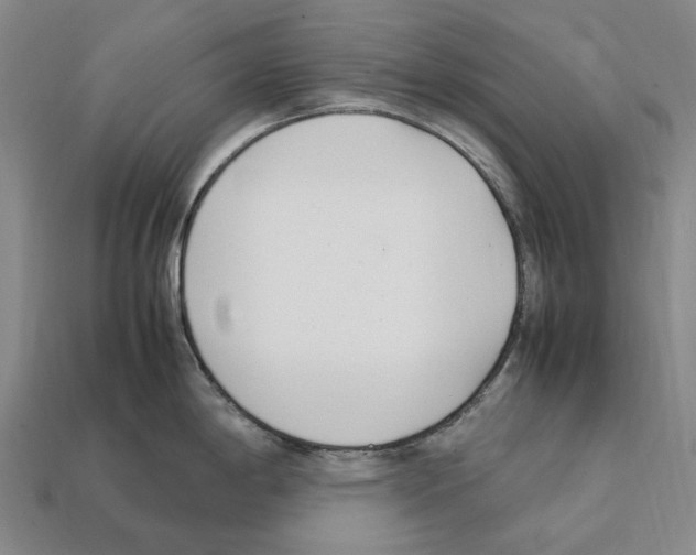 X0000112411198200909251449