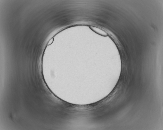 X0000112411199200909251449