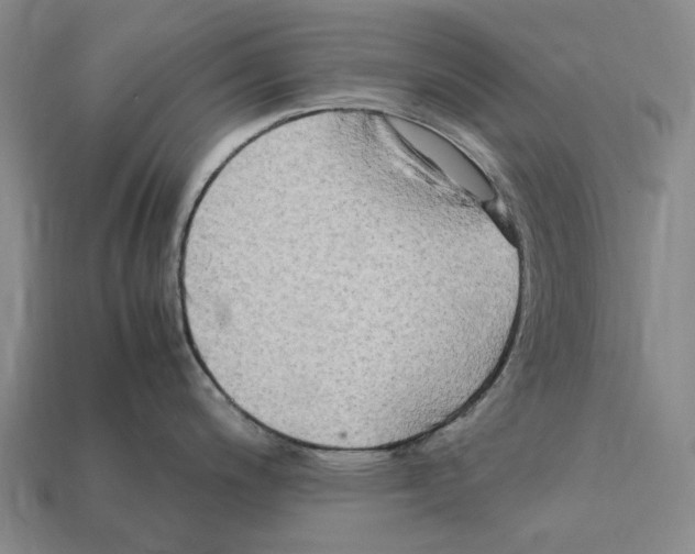 X0000112411200200909251449