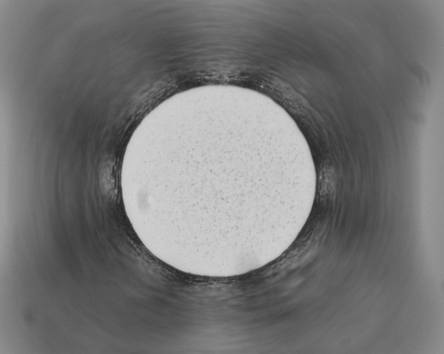 X0000112411202200909251449