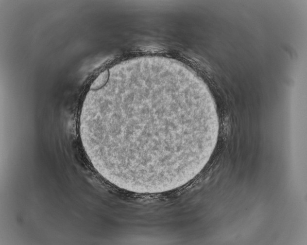X0000112411205200909251449