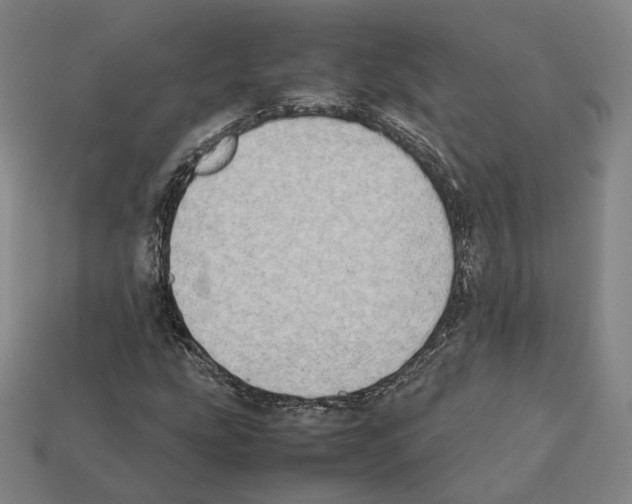 X0000112411207200909251449