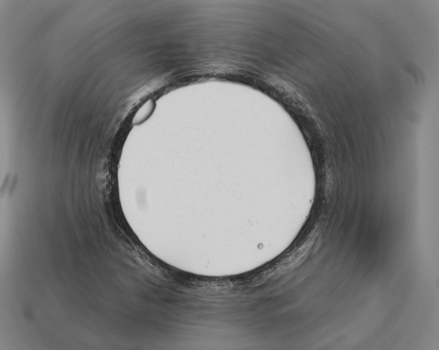 X0000112411210200909251449