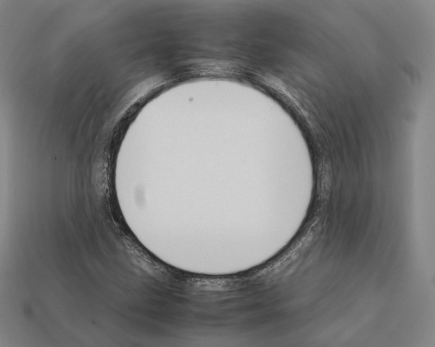 X0000112411211200909251449