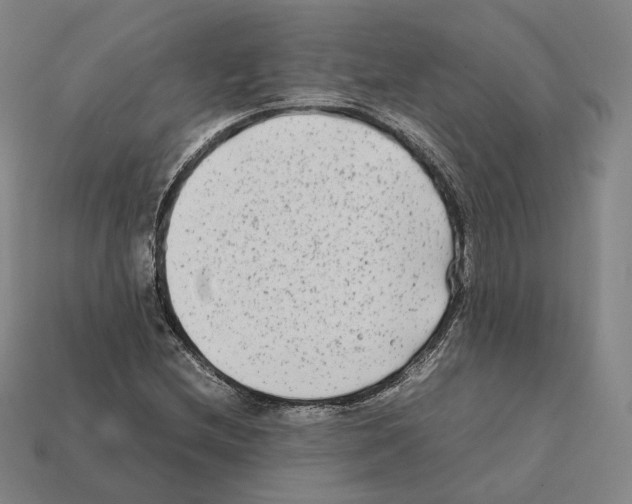 X0000112411212200909251449