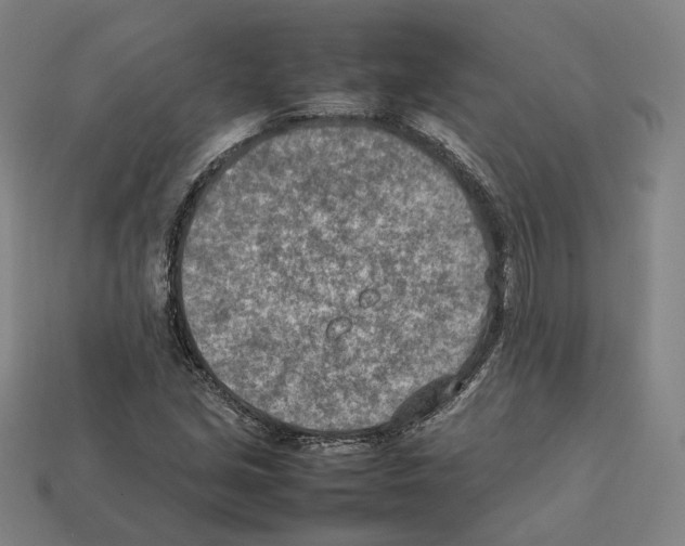 X0000112411213200909251449