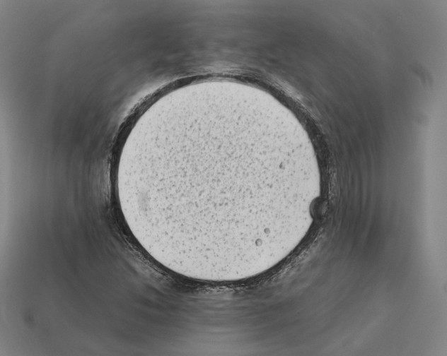 X0000112411214200909251449