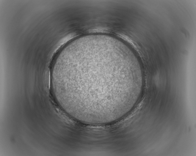 X0000112411219200909251449