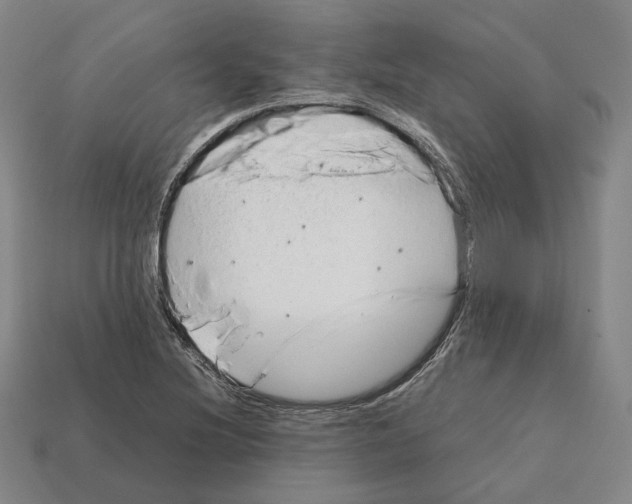 X0000112411220200909251449