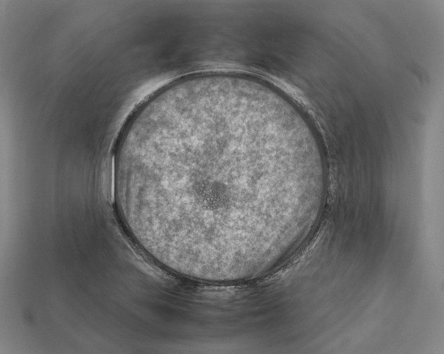 X0000112411223200909251449