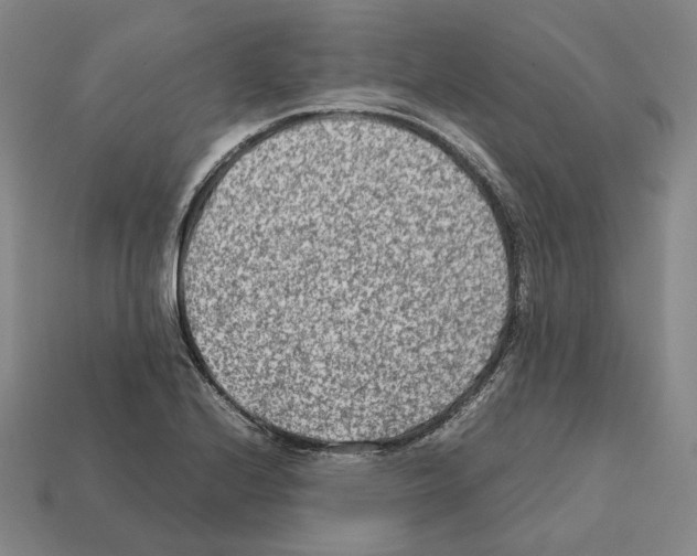 X0000112411224200909251449