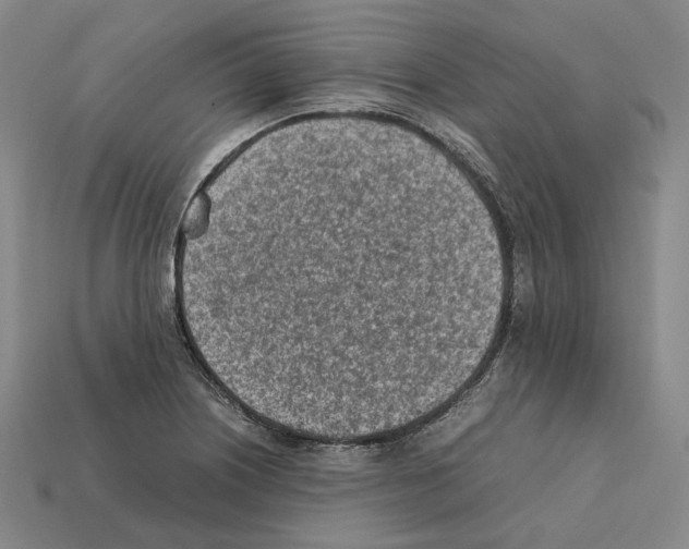 X0000112411226200909251449