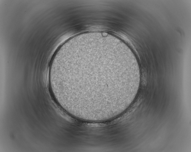 X0000112411227200909251449