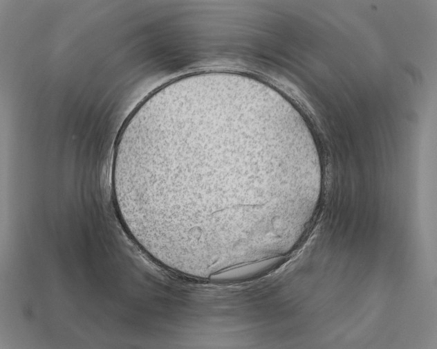 X0000112411228200909251449