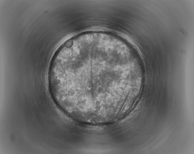 X0000112411229200909251449