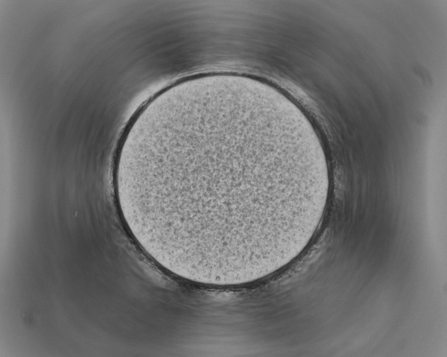 X0000112411230200909251449
