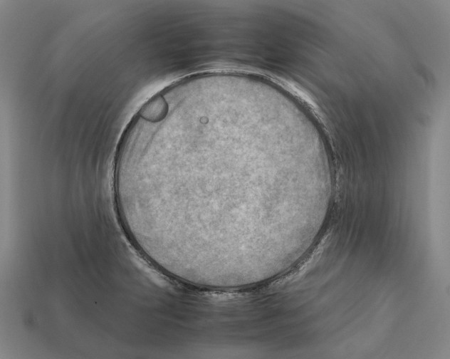 X0000112411231200909251449