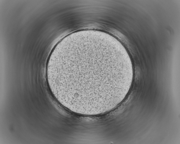 X0000112411234200909251449