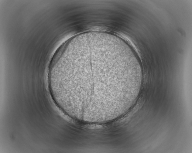 X0000112411235200909251449