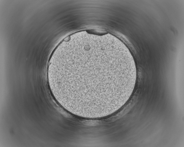 X0000112411236200909251449