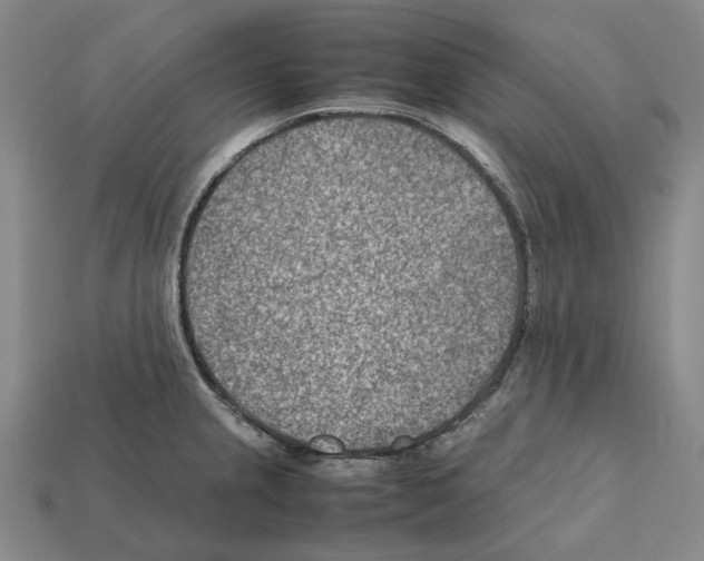X0000112411237200909251449