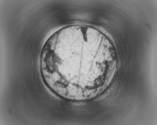 X0000112411239200909251449
