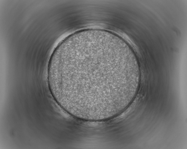 X0000112411240200909251449