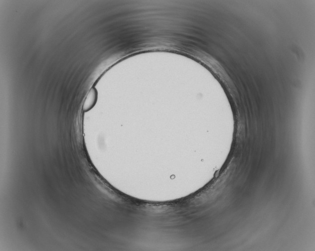 X0000112411242200909251449