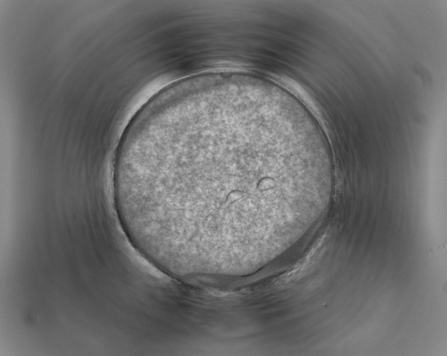 X0000112411243200909251449