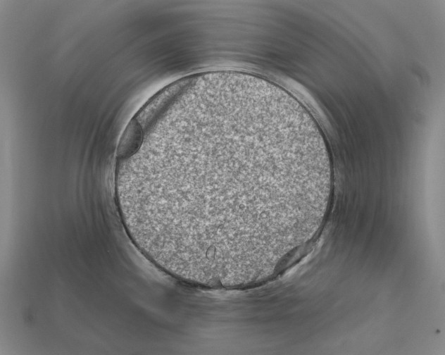 X0000112411244200909251449