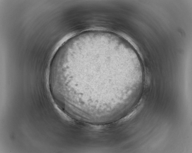 X0000112411245200909251449