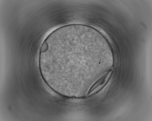 X0000112411246200909251449