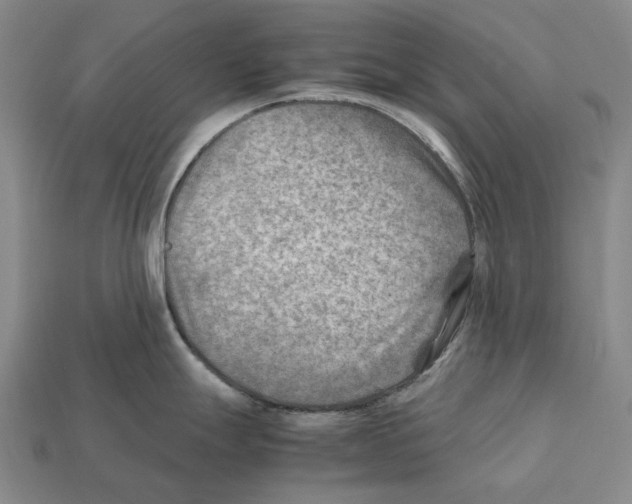 X0000112411247200909251449