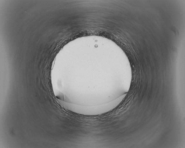 X0000112411249200909251449