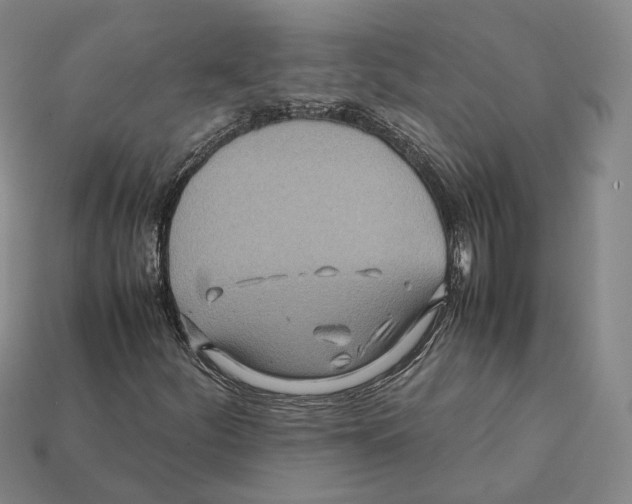 X0000112411252200909251449