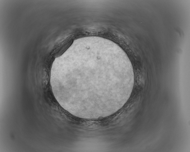 X0000112411253200909251449