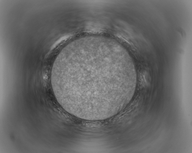 X0000112411254200909251449