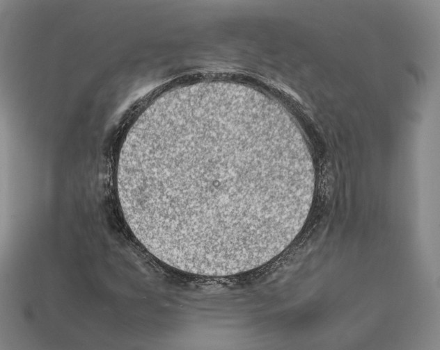 X0000112411255200909251449