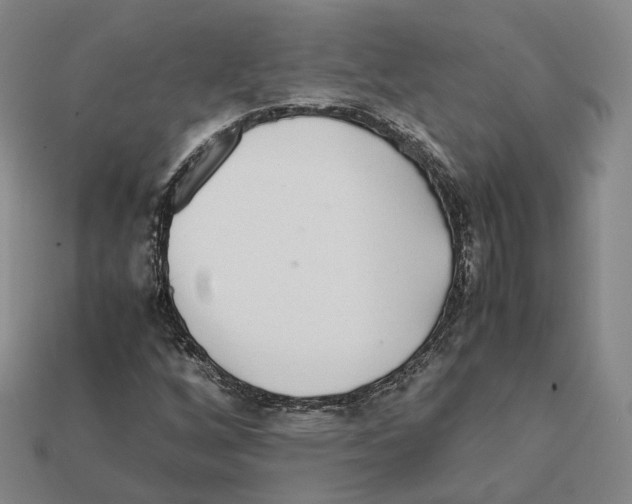 X0000112411256200909251449