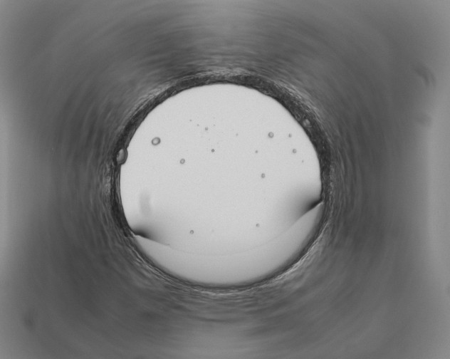 X0000112411257200909251449