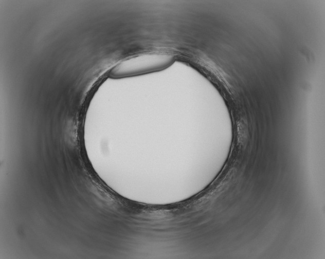X0000112411260200909251448